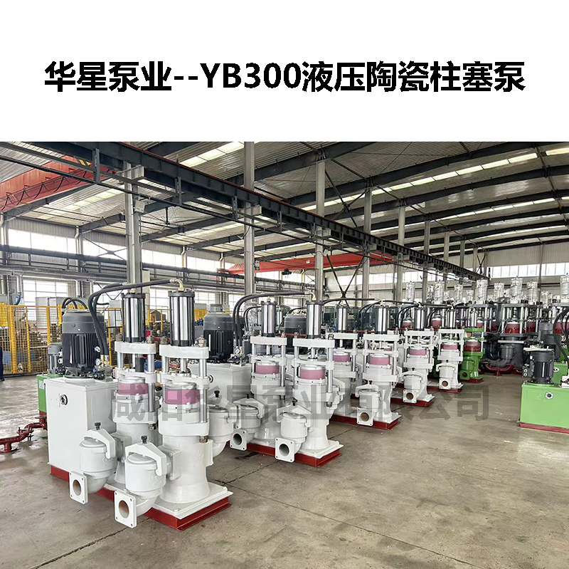液壓雙缸陶瓷柱塞泵