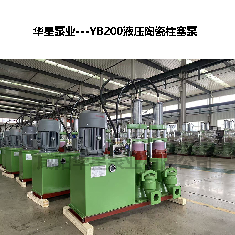 印染污泥處理變量柱塞泵YB200-19